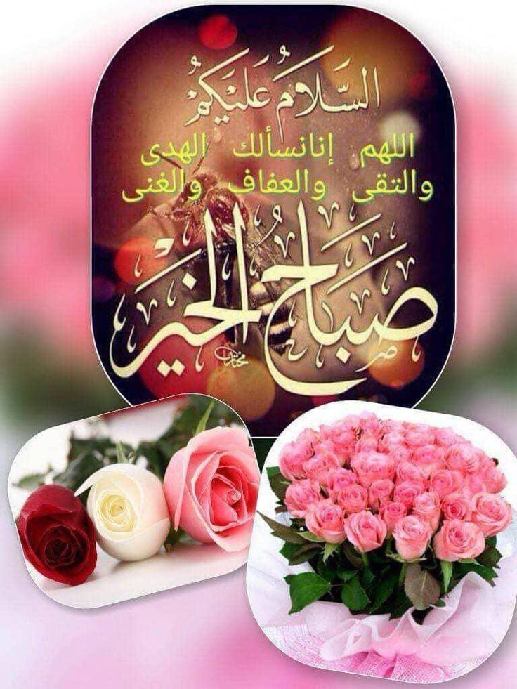 zzjjzza's tweet photo. #غزه_تنتصر https://t.co/MhVQQyima3