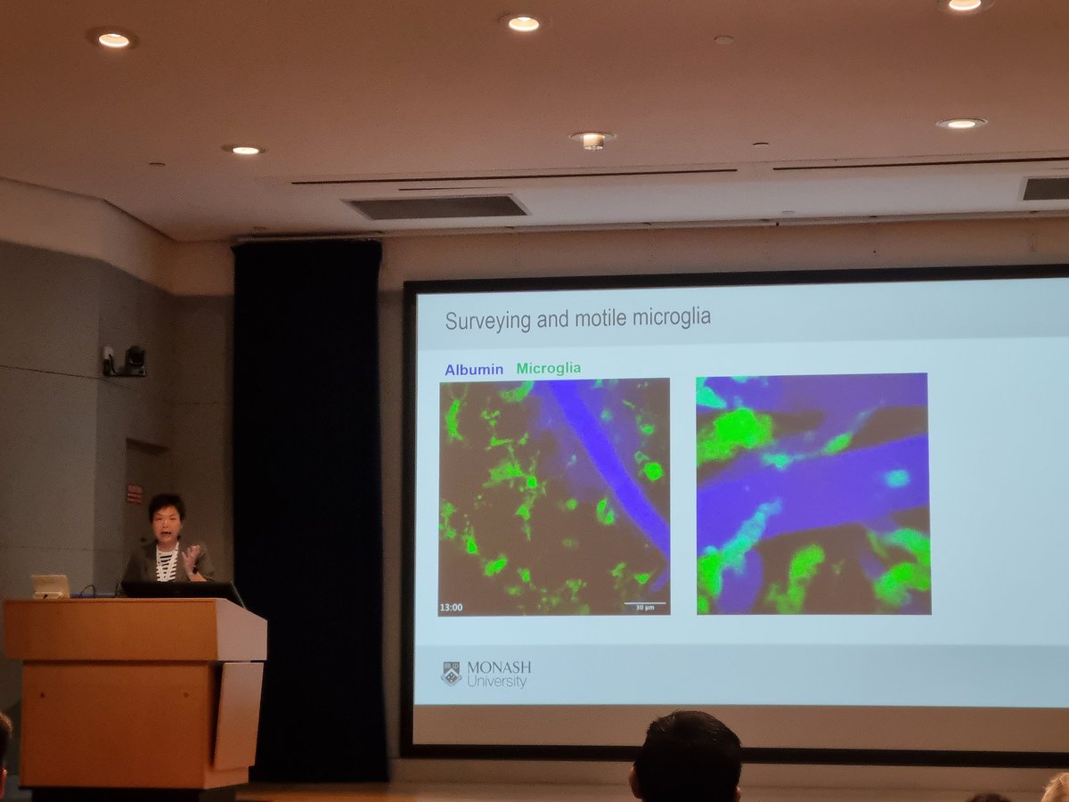 Sj Sijie Shen (@sjsijieshen) on Twitter photo Always an insightful talk by <a href="/cwonglab/">Connie Wong</a> <a href="/MonashCID/">MonashCID</a>, at <a href="/GarvanInstitute/">Garvan Institute of Medical Research</a> #AIMS2023
Assessing phenotype and phagocytic functions of microglia post-stroke. Hopefully I can find a way to apply it to my research!
<a href="/MRC_microbiome/">Microbiome Research Centre</a> Always an insightful talk by <a href="/cwonglab/">Connie Wong</a> <a href="/MonashCID/">MonashCID</a>, at <a href="/GarvanInstitute/">Garvan Institute of Medical Research</a> #AIMS2023
Assessing phenotype and phagocytic functions of microglia post-stroke. Hopefully I can find a way to apply it to my research!
<a href="/MRC_microbiome/">Microbiome Research Centre</a>