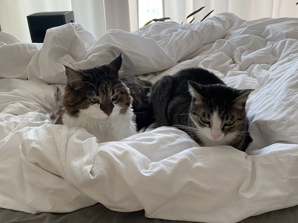 니가 비키라고 서로 눈치 주는 중..