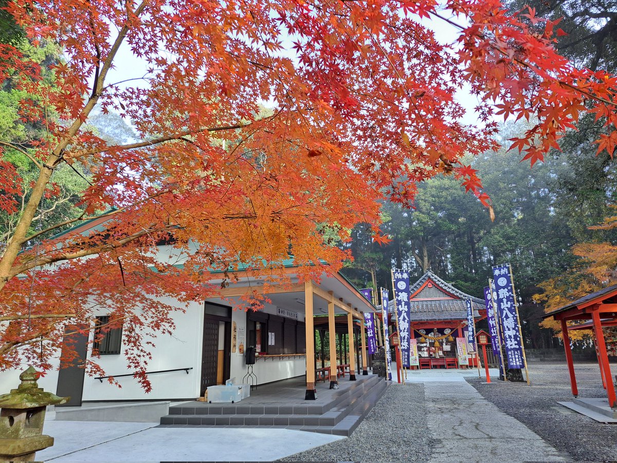 長い間、情報発信ができませんでした。
今、紅葉も見頃です。ぜひお詣りください。