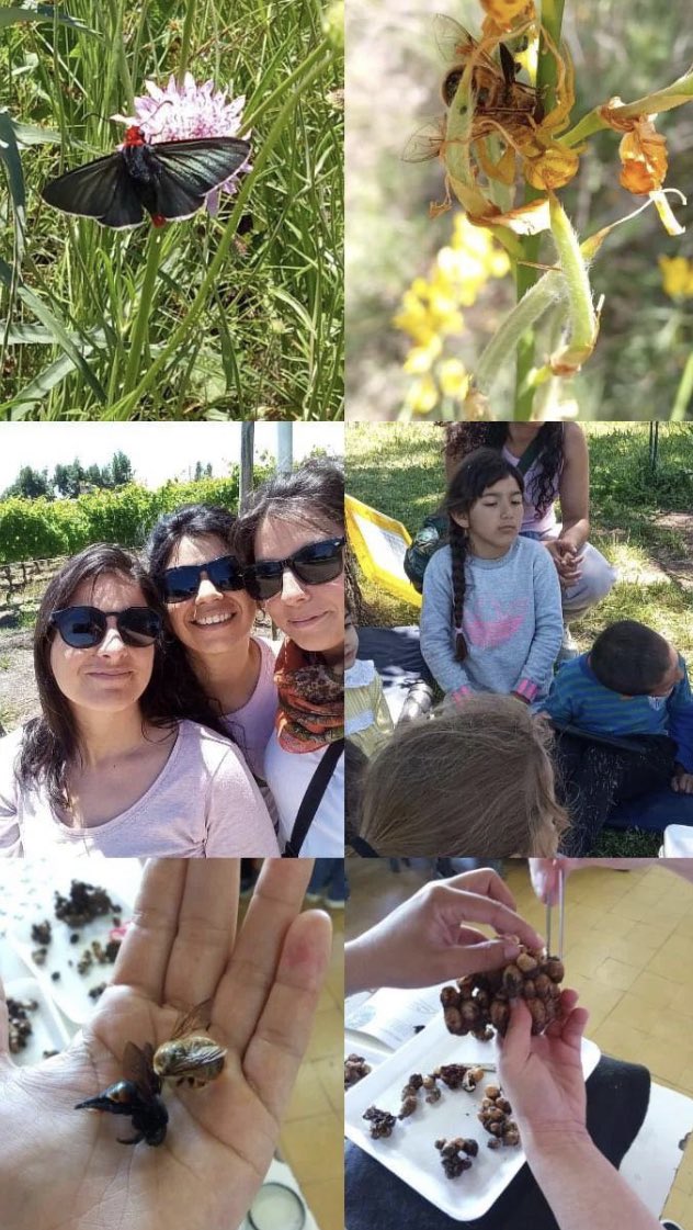 Cerrando el ciclo de visitas y charlas, fuimos a Escuela 32 de Progreso. Les pido disculpas a todas las maestras que me han pedido que vaya, ya las visitaré, hablaremos de 🐝y entregaremos libros!