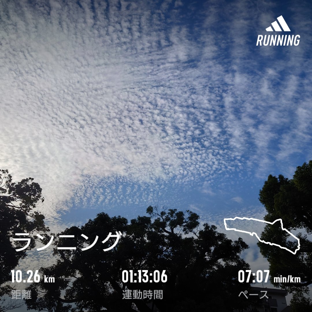 #神戸マラソン から４日め。
これぐらいは走れました🏃‍♂
いい空ですね。
#run #running #holidayrun #novemberrun