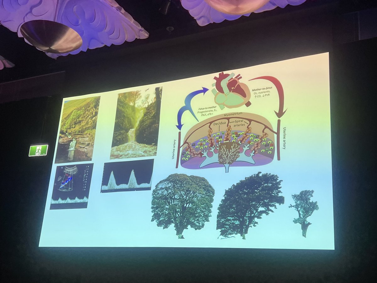 Edwina Coghlan tweet media