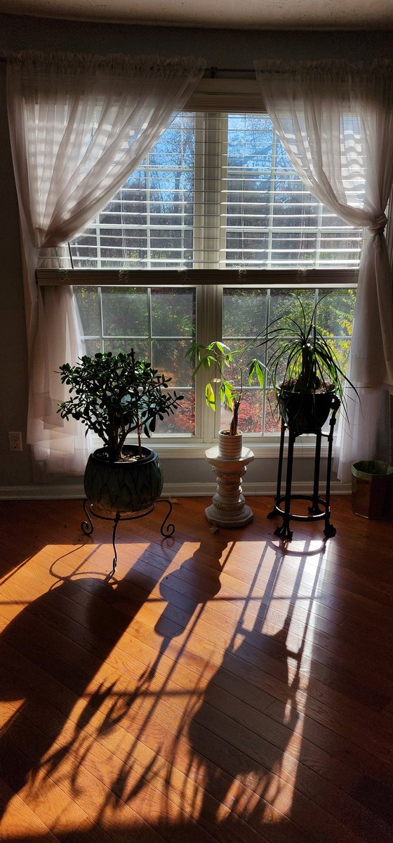 Thinking about it. Prolly no.