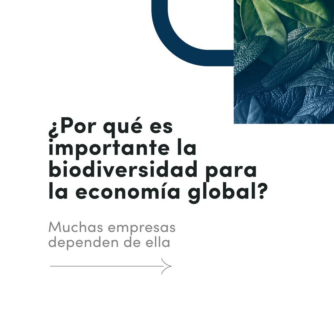 animalbank_'s tweet image. Cuidar la #biodiversidad es asegurar la estabilidad de la economía global 🤓📈💵