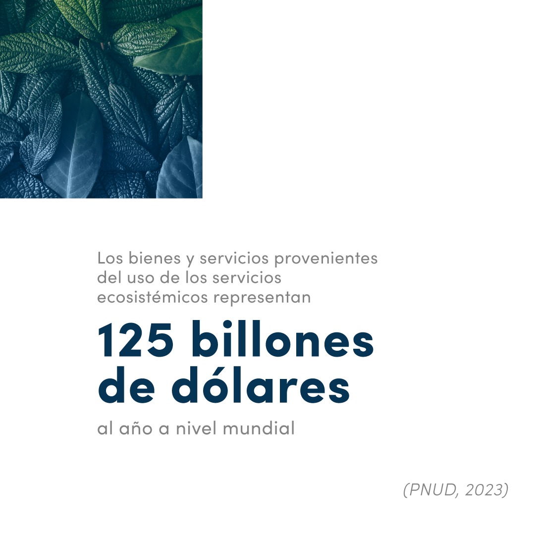 animalbank_'s tweet image. Cuidar la #biodiversidad es asegurar la estabilidad de la economía global 🤓📈💵