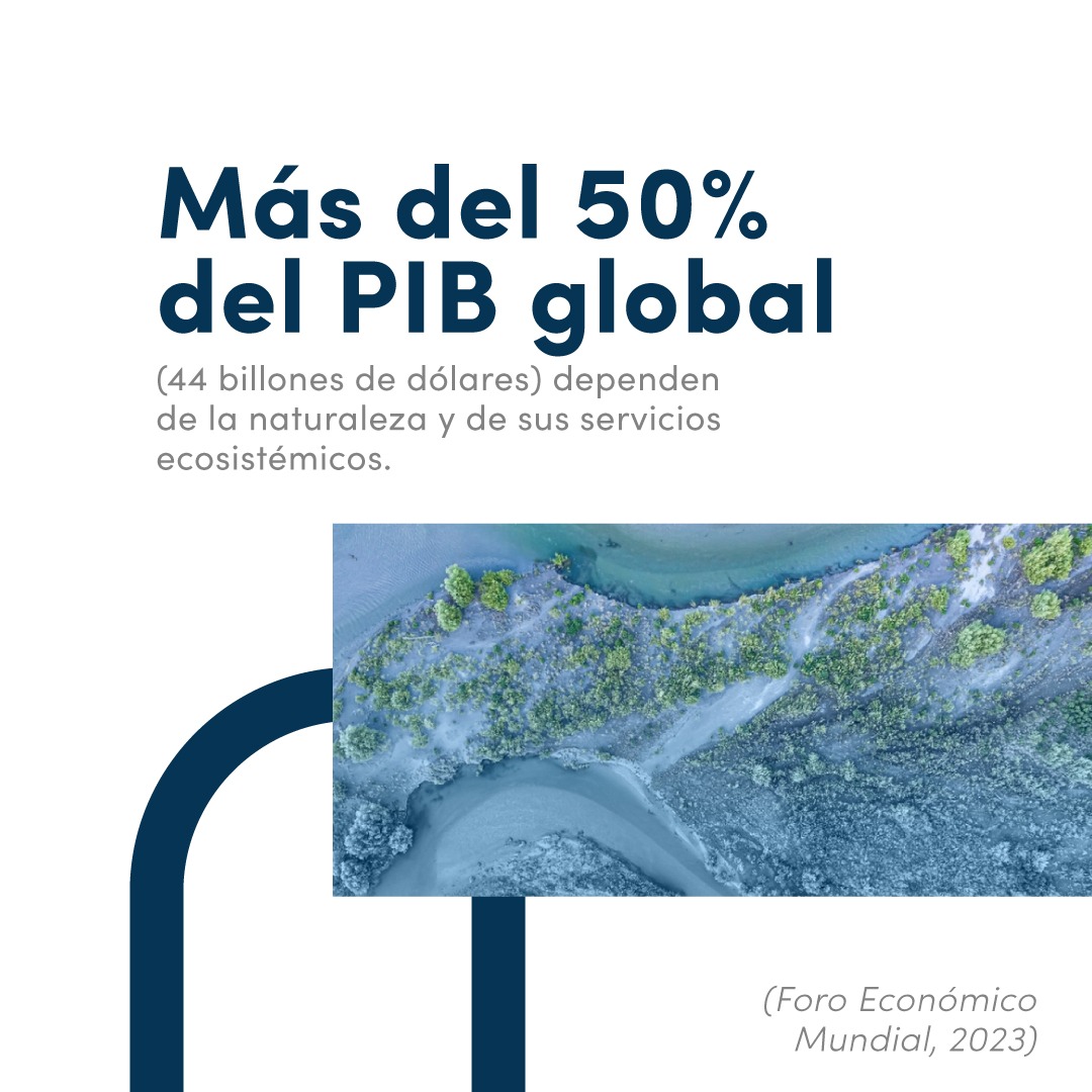 animalbank_'s tweet image. Cuidar la #biodiversidad es asegurar la estabilidad de la economía global 🤓📈💵