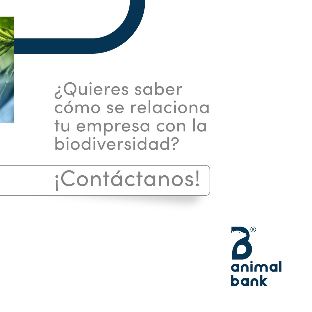 animalbank_'s tweet image. Cuidar la #biodiversidad es asegurar la estabilidad de la economía global 🤓📈💵