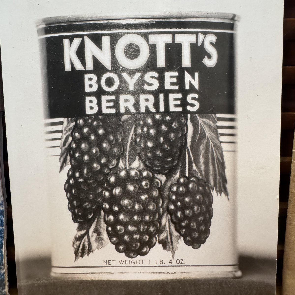 CowMissing's tweet photo. Knott’s Berry Farm history.
#KnottsBerryFarm #Knotts #Boysenberry #Boysenberries #WalterKnott #ThemeParkHistory #AmusementPark #KnottsHistory #BuenaPark @knotts https://t.co/yg64X0FjPR
