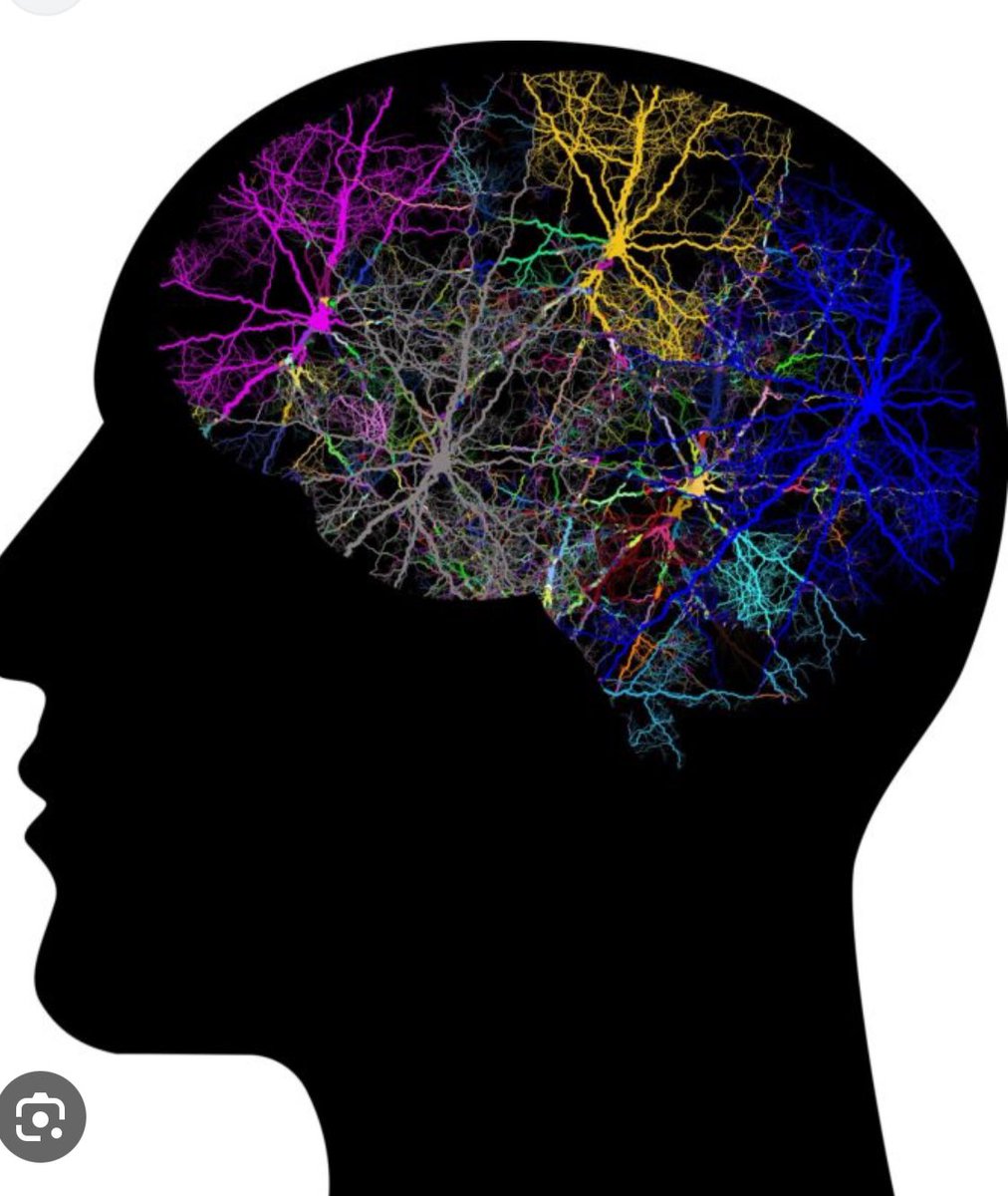 e_brietzke's tweet photo. Esse fio vai responder as 10 dúvidas mais comuns sobre ESQUIZOFRENIA. É considerada um transtorno mental crônico e potencialmente grave, acometendo cerca de 1% da população mundial. https://t.co/2kU6WPNTxM