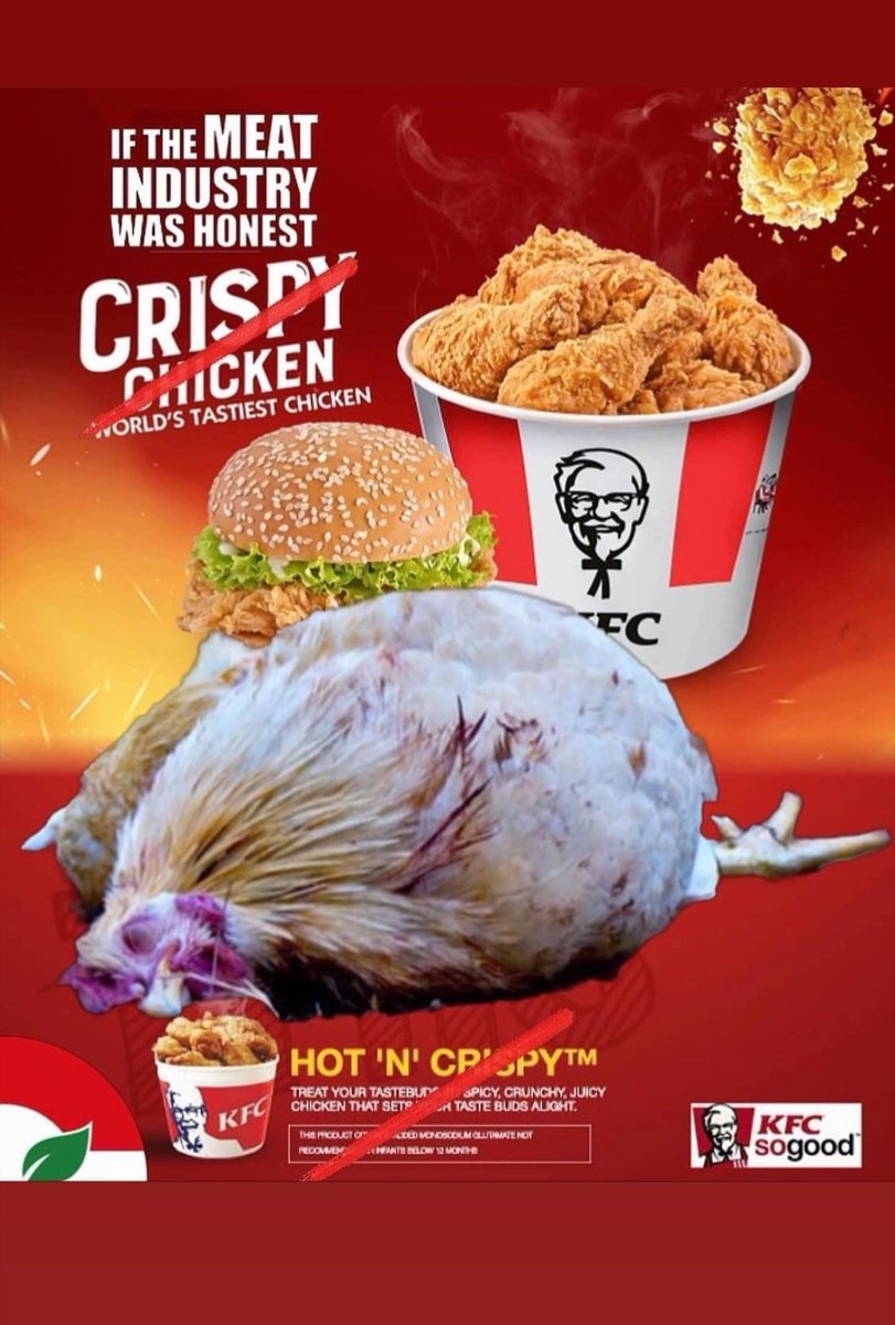AnimalandLandXO's tweet image. FUCK YOU KFC!   #PROSECUTETHIS