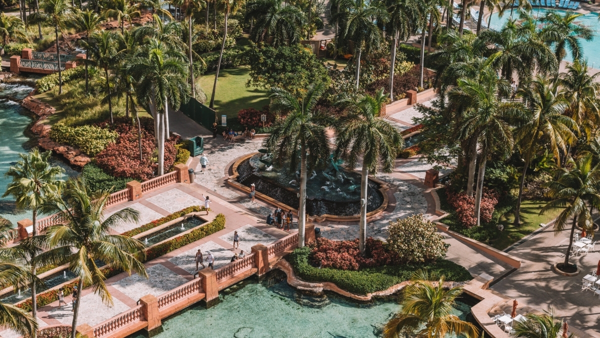 CYNassau's tweet photo. Make some time on your trip to stop by Atlantis Paradise Island! With a lush, oceanside resort, shopping, and even gambling, you won't get bored here! https://t.co/J4czZQdaoL
#bahamas #vacation #holidays https://t.co/LDS2prcadp