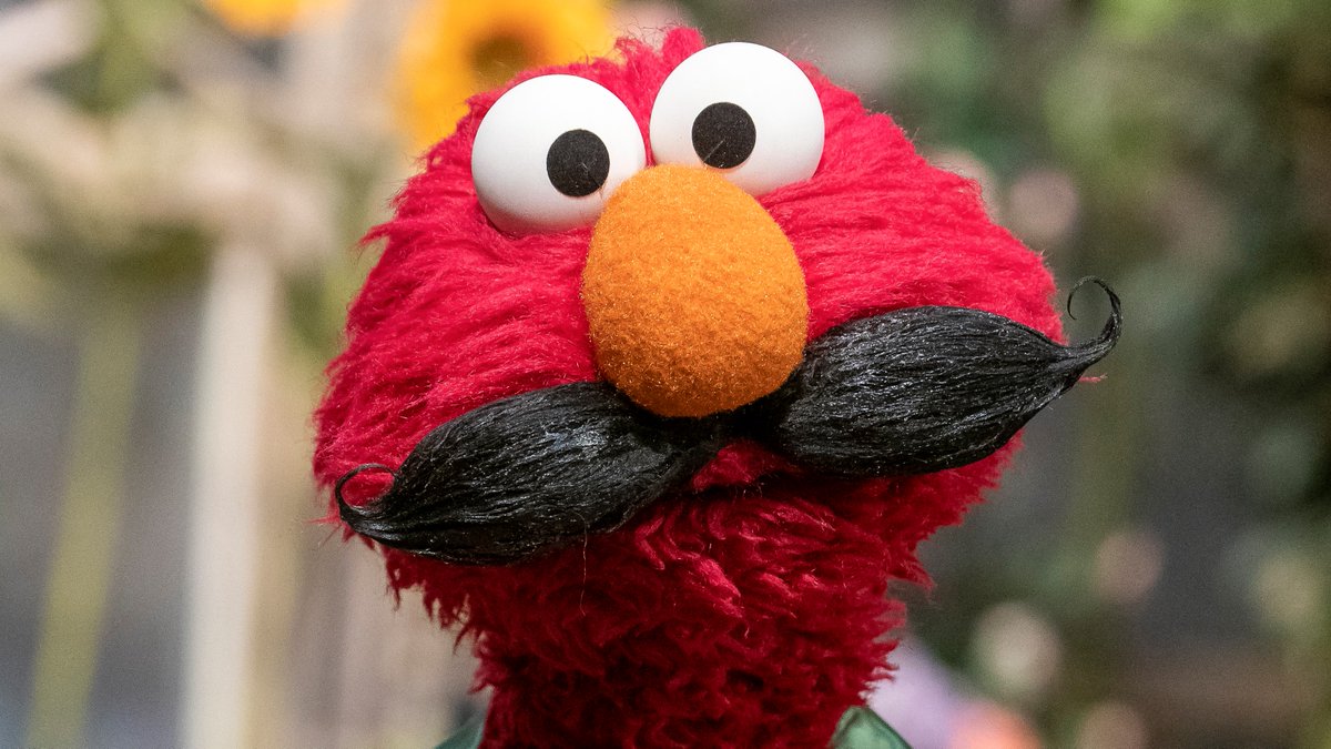 How did Elmo do? 🥸😂 #NoShaveNovember