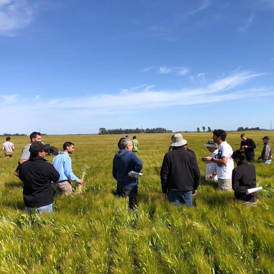aapresidneco's tweet photo. Recorrida por campos de nuestro socio @FaroVerde_Agro .
Un lujo todo! 👏👏 https://t.co/cx6kFXQ19U