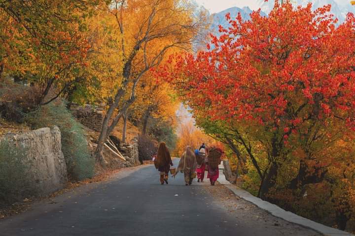 Colors of autumn 🍂

📍Hoper Valley Nagar 😍
•
•
#hopervalley #autumn #travelling #dslrofficials #dawndotcom #himalayas #nature #etribune #travelbeautifulpakistan #islamabad #destinationpakistan #naturephotography #nikon #nikonpakistan #naturephotography