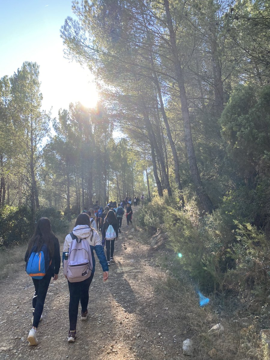 AlfonsoEscrig's tweet photo. Cuidem el nostre entorn en MOVIMENT⛰️ Gràcies al programa #RecorreCastelló @dipcas l’alumnat de #IESVALLDALBA ha disfrutat d’una activitat de senderisme i #plogging defensant i valorant els nostres @GVAparcs #DesertPalmes 🏃🏻♀️ amb la recollida de la brossa que hem trobat en la ruta https://t.co/qFPzNPsEIE