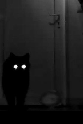 deusx_45's tweet photo. @PepitoTheCat My sleep paralysis demon https://t.co/cyFIsAyP4Y