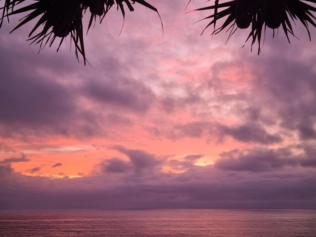Early Thursday. Whale Beach