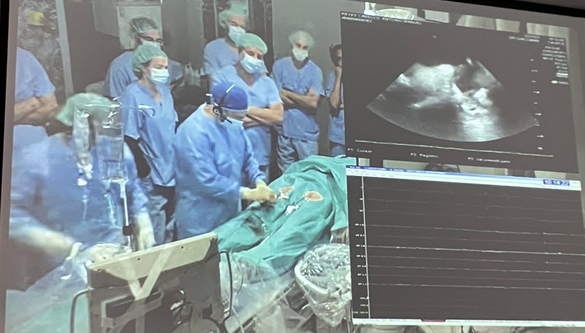 Adolfo Fontenla tweet media