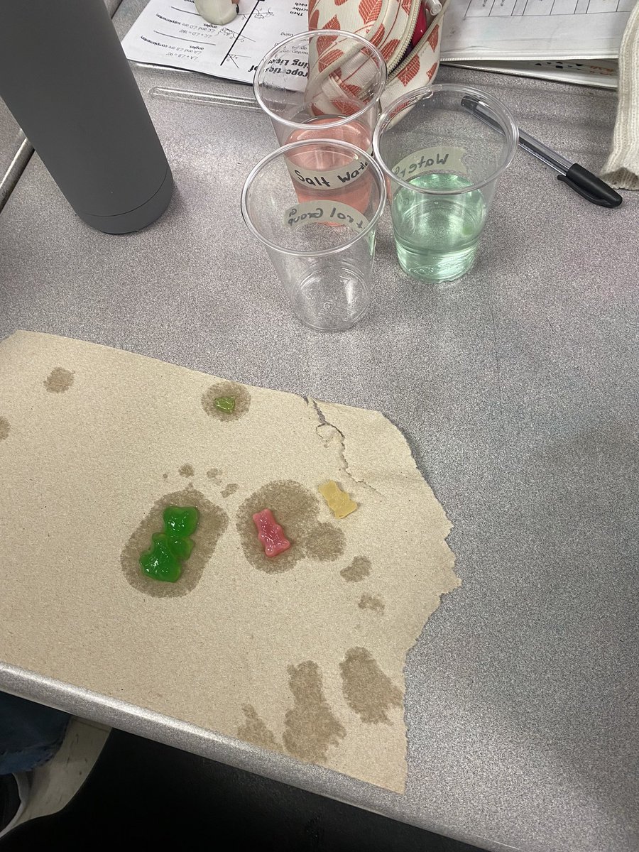 missdstewart's tweet photo. In science, students used gummy bears to explore diffusion and osmomis! They did an experiment with a control group, plain water and salt water.  They measured the size before and after and wrote their analysis. Some were shocked at the size difference! @Falgarwood_HDSB https://t.co/HvGQqJQjIM
