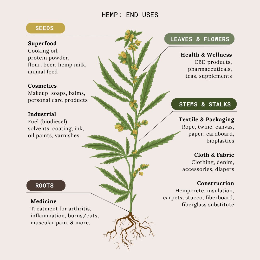 Next time you feel the climate blues, pull out this image and remind yourself that ONE plant has the potential to reduce our collective footprint across almost every industry. #hemp #climateaction #sustainablefuture