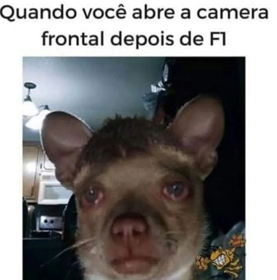 Chapo Do Chong (@chapodochong) on Twitter photo 