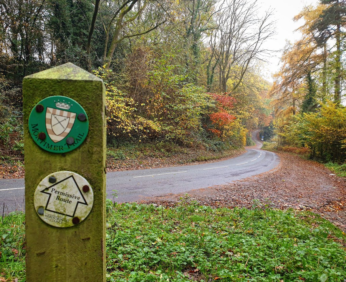 sharonamery's tweet photo. Roads? Where we're going, we don't need roads! I couldn't agree more Doc! Back to the Future is one of my all time favourite films! π
#ludlow #shropshire #mortimerforest #mortimertrail #road #signs #countryside #nature #trees #november #autumn #walking #exploring #outdoors https://t.co/tZeHfHWJz5