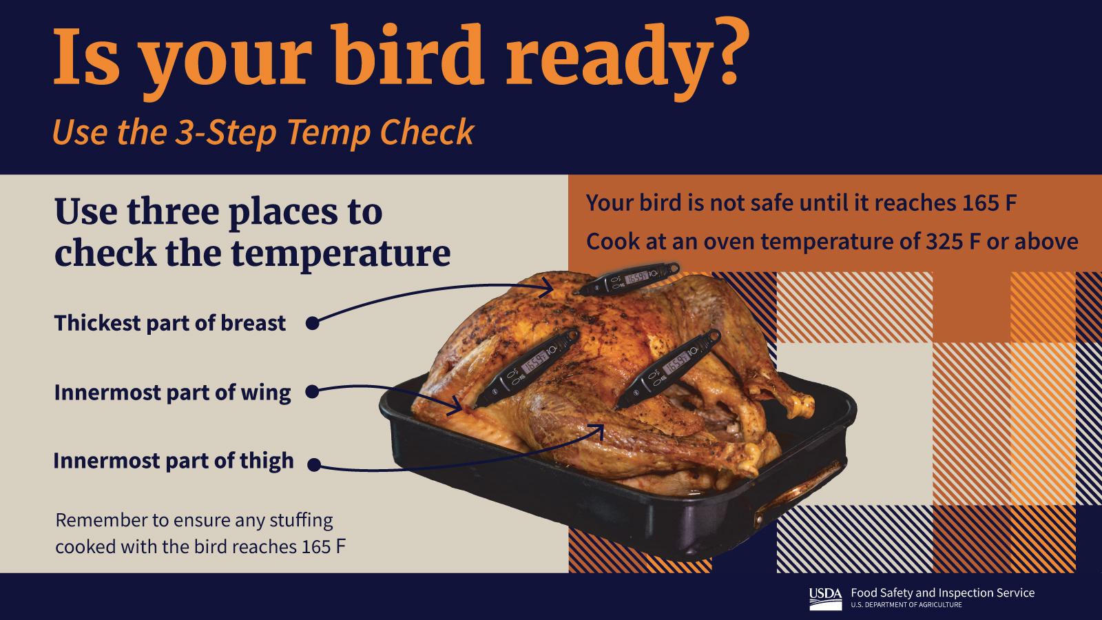 Where to Put a Thermometer In a Turkey