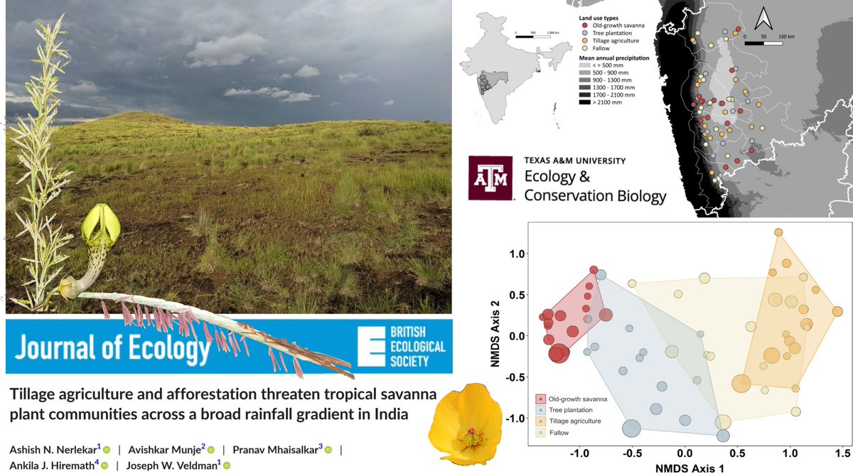 Ashish Nerlekar tweet media