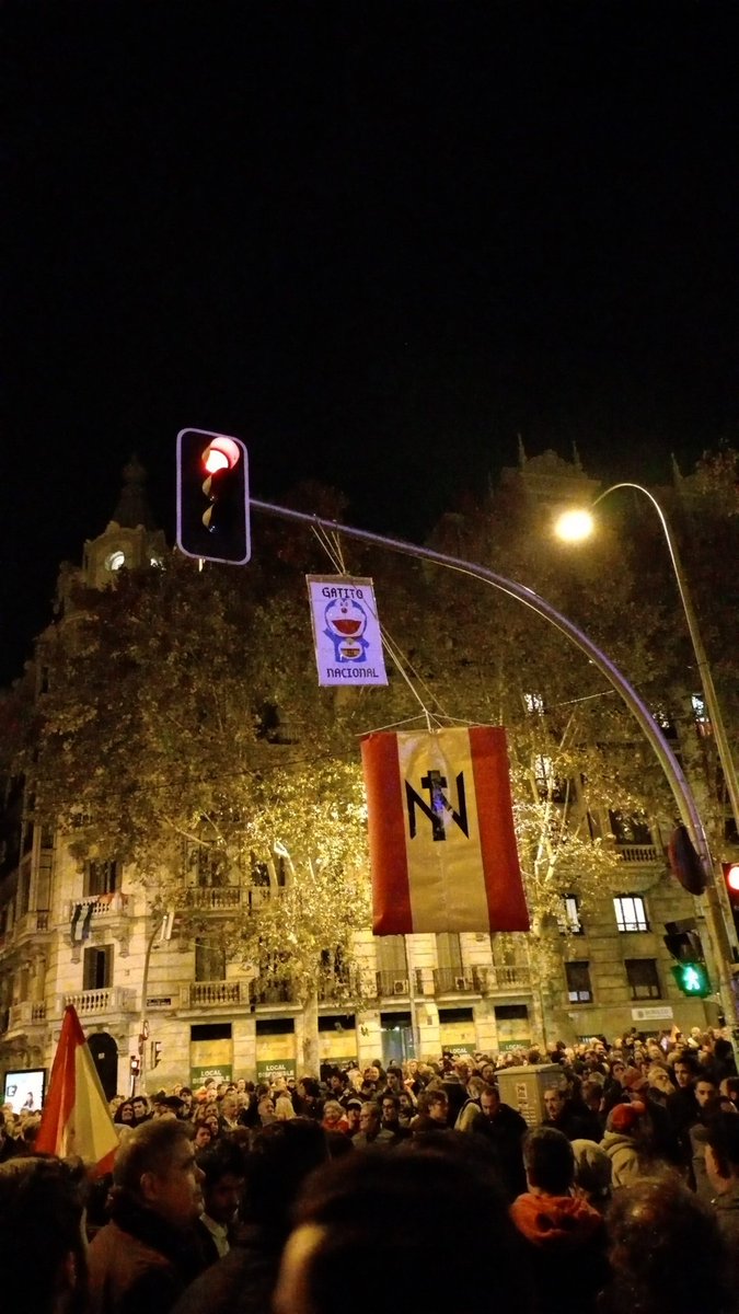 miluco2323's tweet image. #TodosAFerraz  #NoviembreNacional #gatitonacional