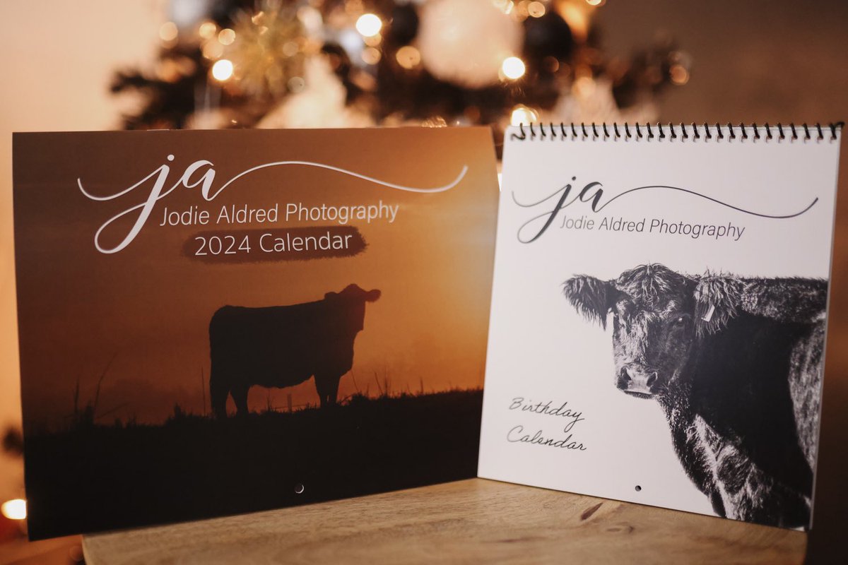 Jodie Aldred Photography tweet media