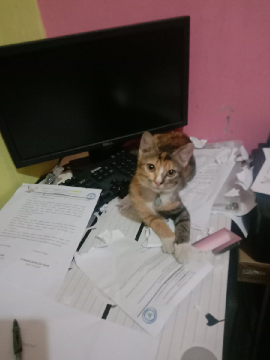 yani_hida's tweet photo. @collegemenfess Kalo dia sukanya nyobekin itu berarti artinya apa ya? 🙏🤣 https://t.co/z04bf2cG61