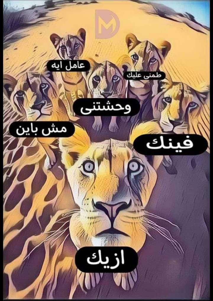 قررت اتوب وامشي عدل: