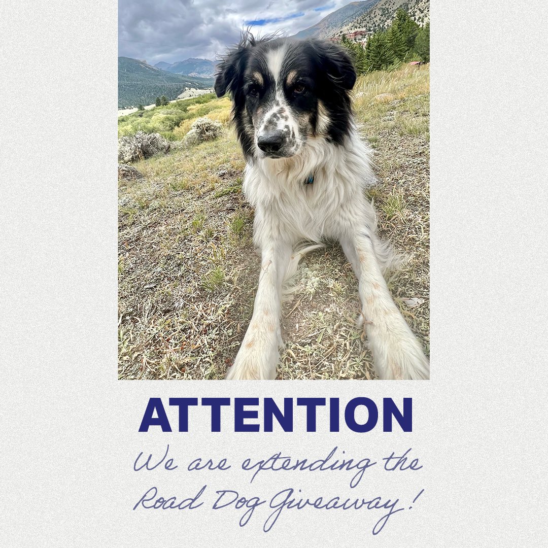 Attention ‼️ We’re extending the Road Dog Giveaway! Enter now to win a hand painted portrait of your favorite pet. The last day to enter is Monday, Nov. 27th 🐾 #RoadDog #Giveaway #PetPortrait

Rules to Enter: 
-Follow Skip’s page
-Tag 2 friends in the comments
-Share this post
