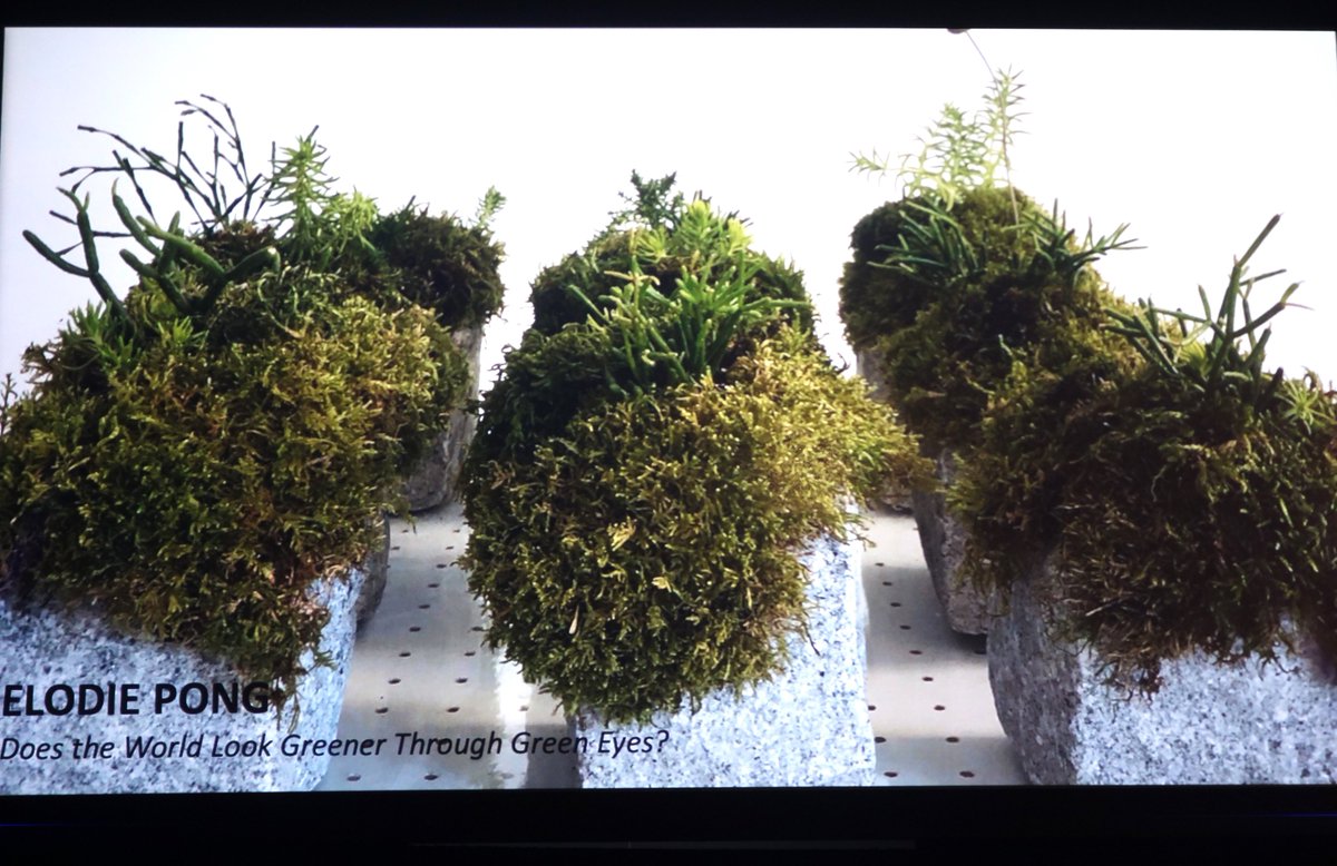 DLVisionMode's tweet image. Lancement média aujourd&apos;hui de la programmation de la 11e édition de la @manifdart - La biennale de Québec intitulée : Les forces du sommeil. Biennale hivernale qui se déroulera du 23 février au 28 avril 2024 #ManifdArt #Quebec #LesForcesduSommeil 
manifdart.org/manif-dart-11-…