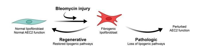 JCI insight tweet media