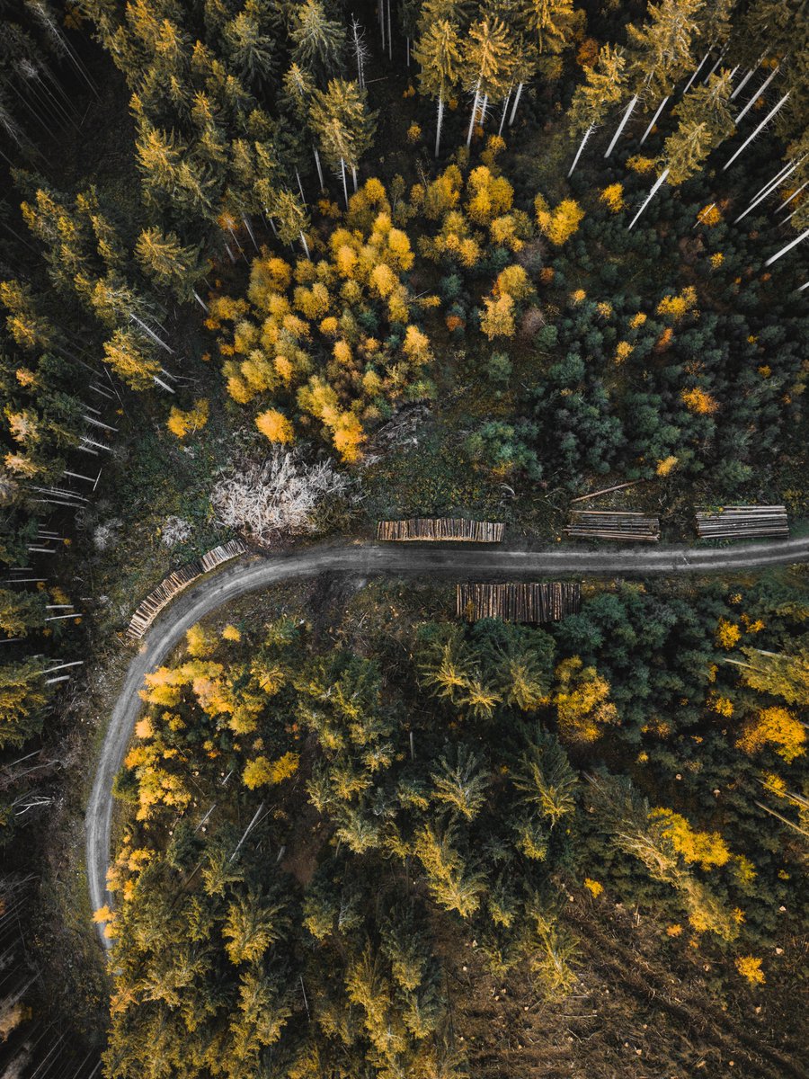 Autumn forest road 🧡💚
Ilmenau, Thuringia, Germany.
©️ Justin Wolfert