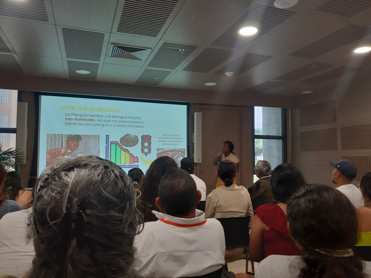 "La piangua ha disminuido mucho. Por eso las mujeres hemos decidido hacer monitoreo piangüero". Bajo Baudó, #Chocó, Colombia #XVCimfauna  <a href="/somoscomfauna/">Comfauna</a>