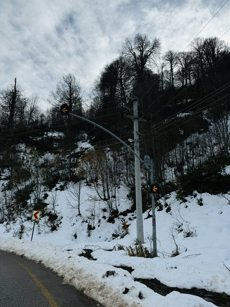 N3_aw_'s tweet photo. ❄️🤍 https://t.co/qp7wMM03wW