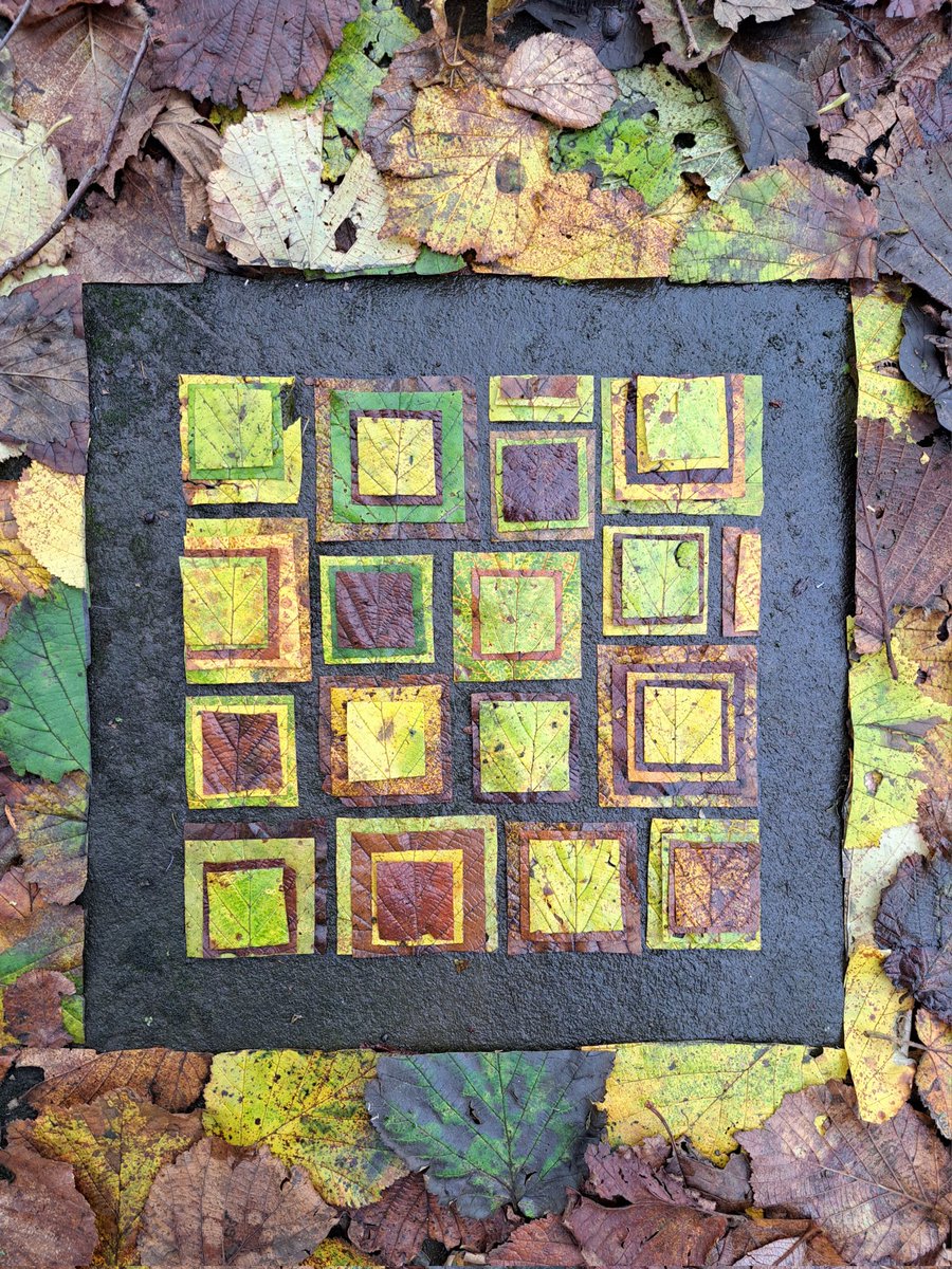 Portread Cyll/Hazel Portrait. Deilen Cyll. Yeathouse Station Platform,Cumberland. #cyll #hydref #lliw #lliwiaeth #leaves