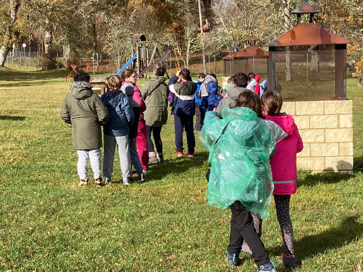 ceipcampocharro's tweet image. Y.. mientras tanto en Soncillo… #excursiones #crearrecuerdos #classroominnature #aulasdelanaturaleza #inmersionlingüística #somoscampocharro 
#creandopiña