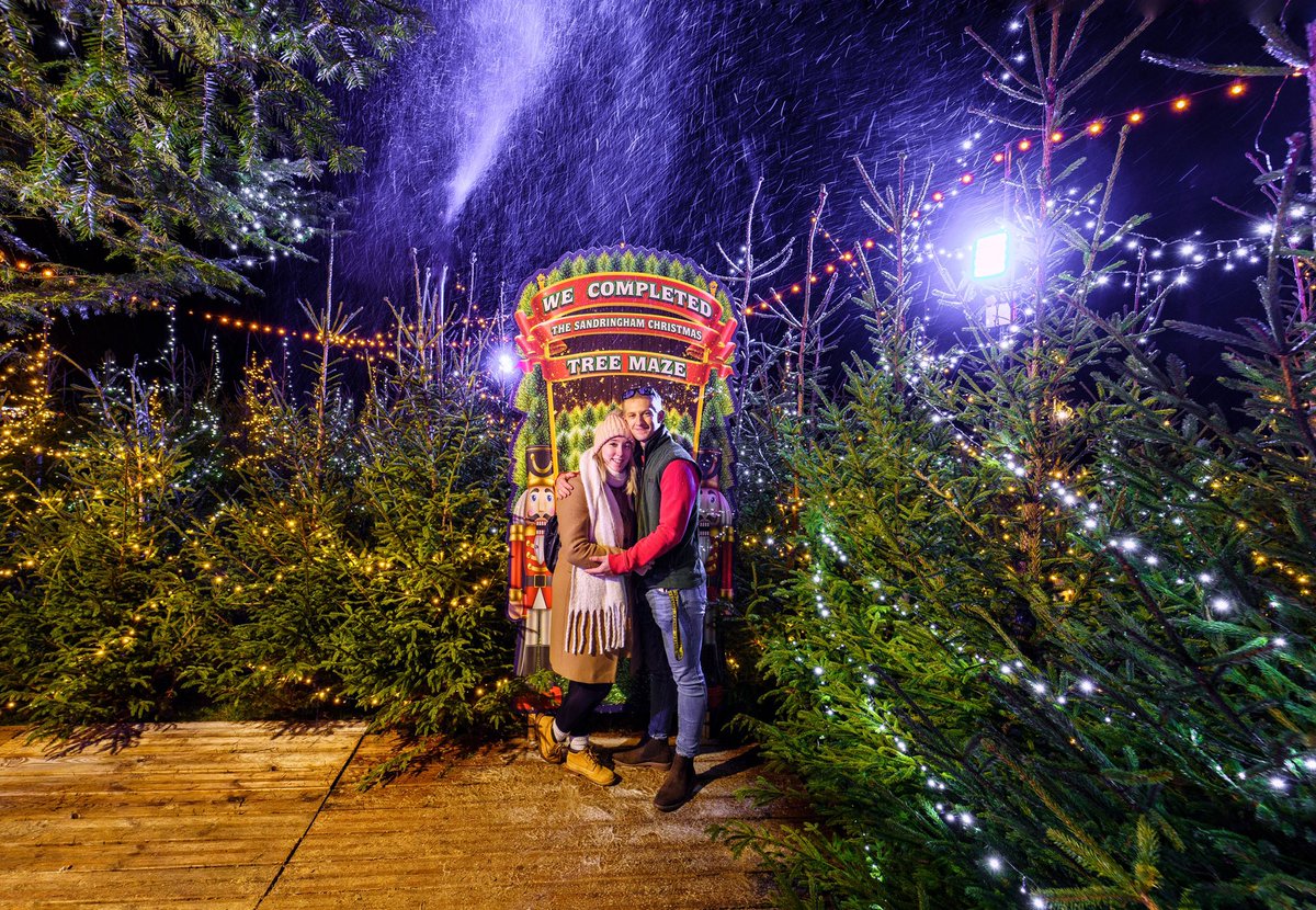 All 300 trees in the maze have been rescued from a local farm as they didn’t quite make the grade as a retail tree. Following their festive season at Sandringham the trees will be collected by @break_charity and then used by Banham Zoo to feed the animals or chipped & for mulch.