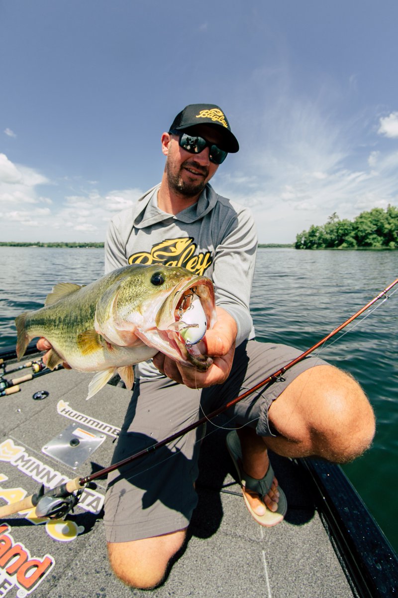 Bagley Baits tweet media