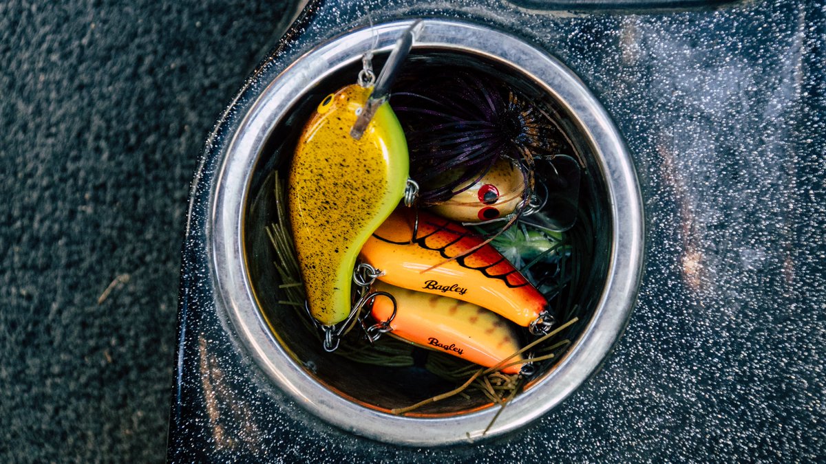 Bagley Baits tweet media