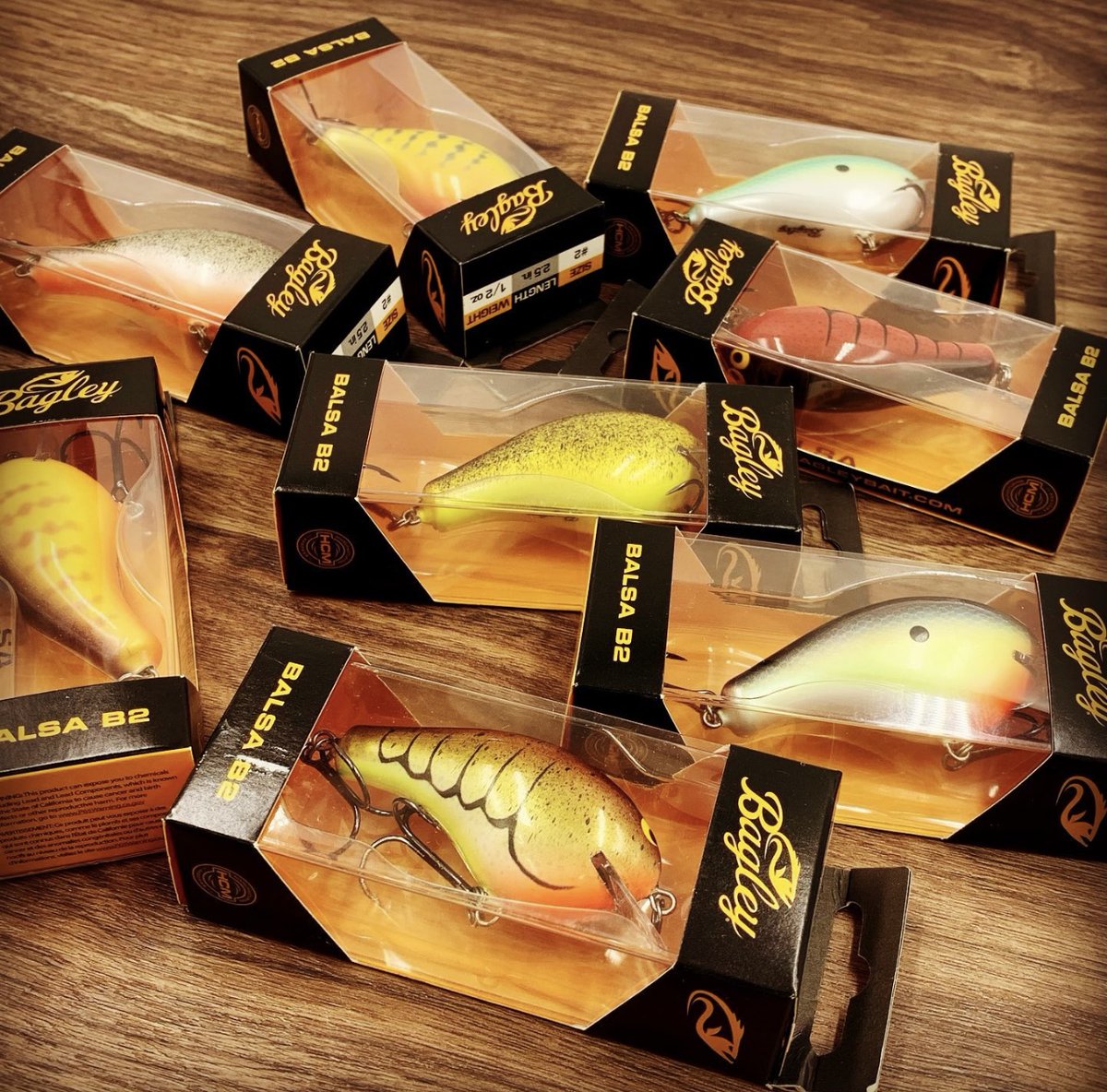 Bagley Baits tweet media