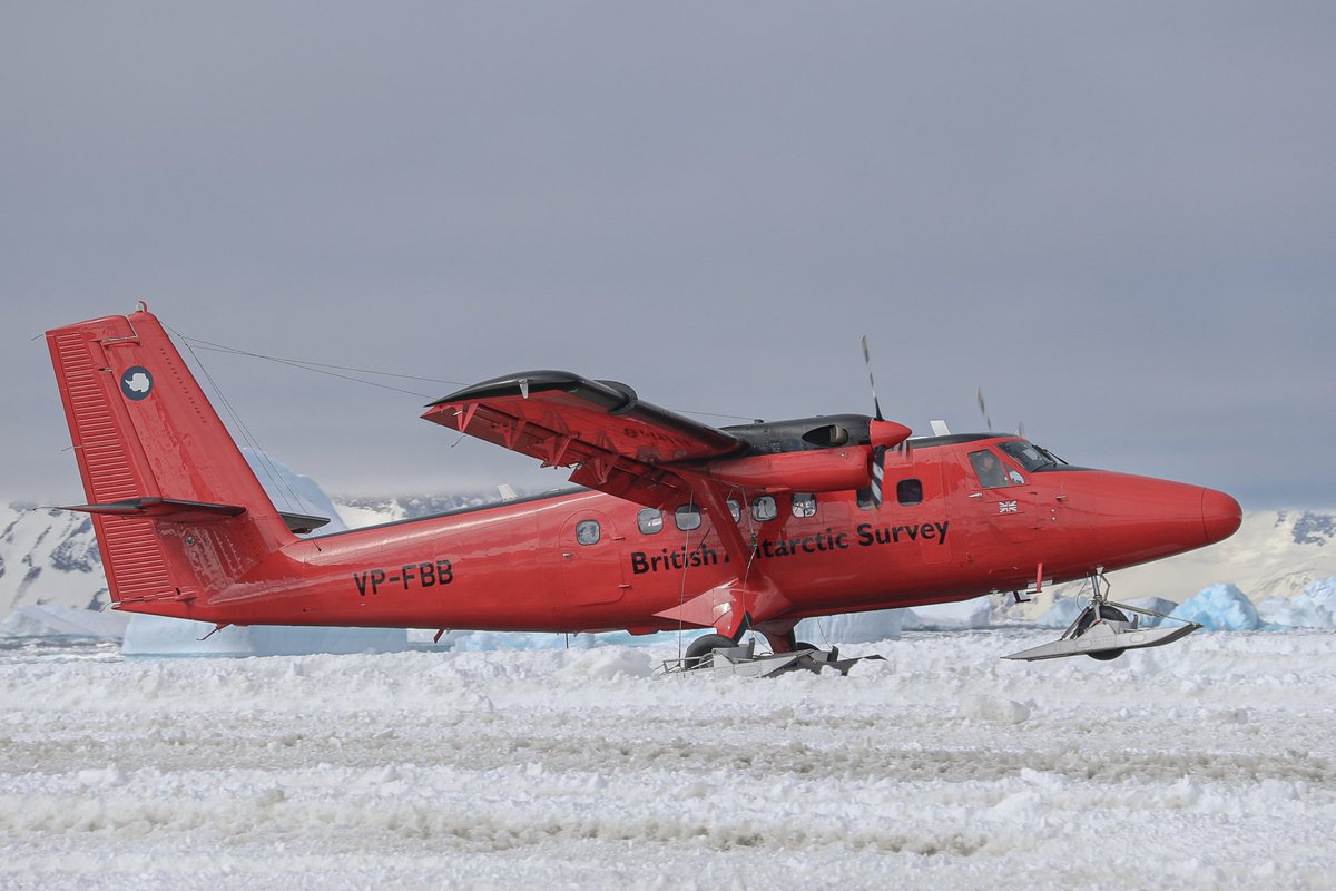Matt Hughes tweet media