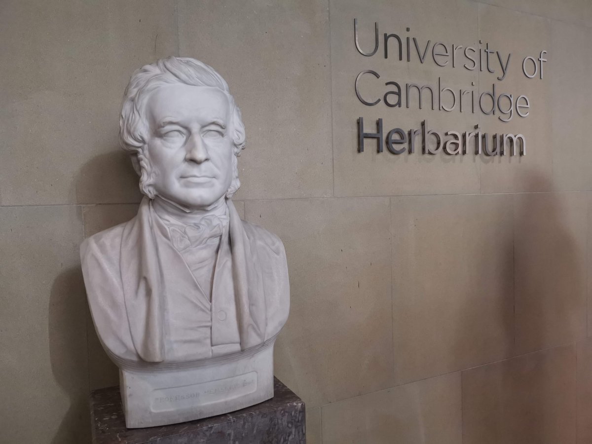 Cambridge University Herbarium (CGE) (@cuherb) on Twitter photo Interested in applying for an externally-funded postdoc fellowship using the amazing herbarium collections of <a href="/CUHerb/">Cambridge University Herbarium (CGE)</a>?
@plantsci is organising an open day on Feb 7th 2024 to support applicants. Send your statement of interest by Dec 1st 2023. More info: plantsci.cam.ac.uk/news/departmen… Interested in applying for an externally-funded postdoc fellowship using the amazing herbarium collections of <a href="/CUHerb/">Cambridge University Herbarium (CGE)</a>?
@plantsci is organising an open day on Feb 7th 2024 to support applicants. Send your statement of interest by Dec 1st 2023. More info: plantsci.cam.ac.uk/news/departmen…