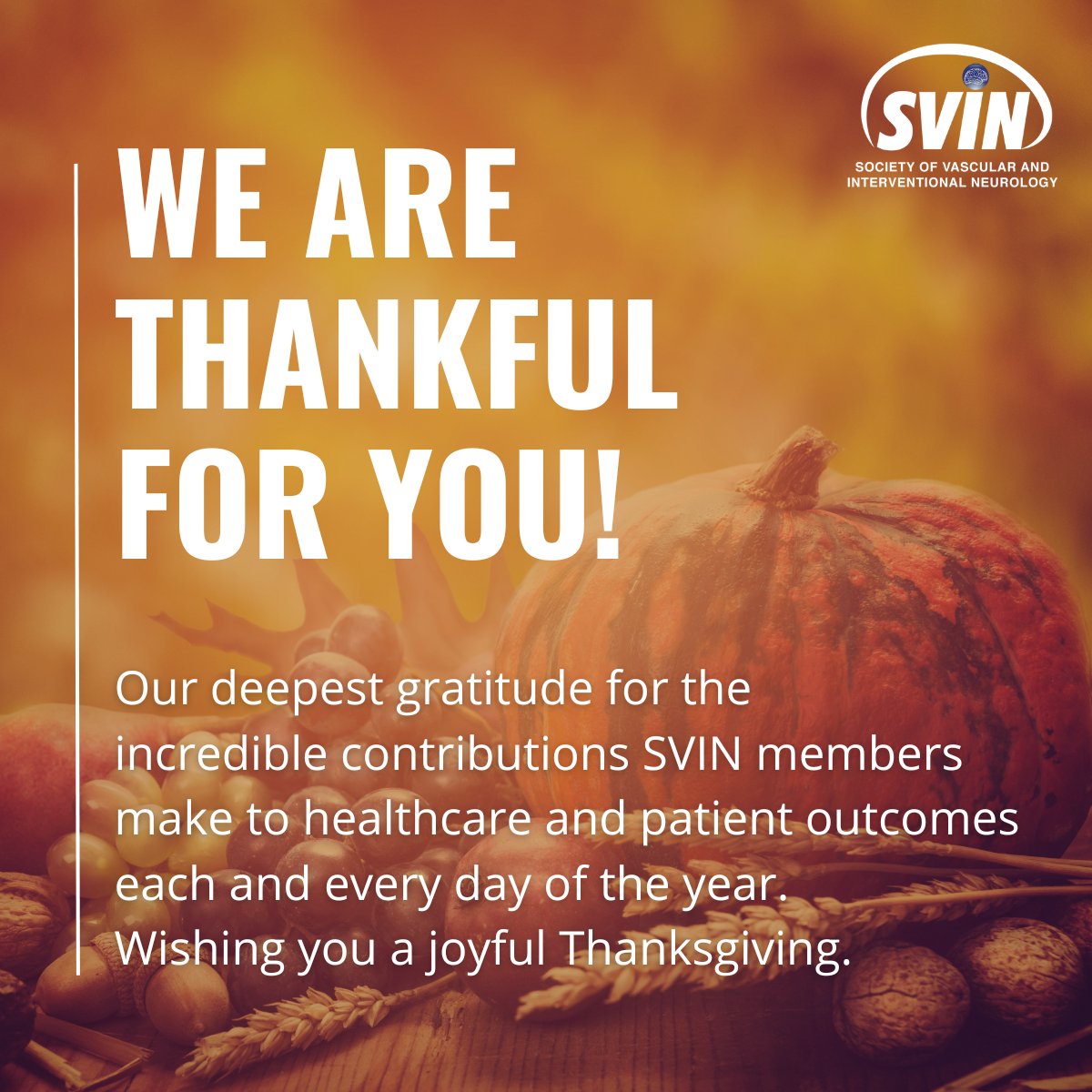 We want to express our sincere appreciation to our members, friends and supporters this Thanksgiving. It is because of you that we are able to expand SVIN’s reach, helping to improve stroke and cerebrovascular patient outcomes. Wishing you peace & happiness this holiday season.