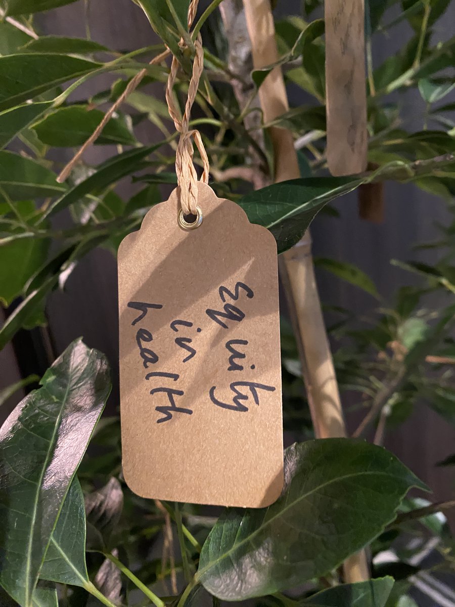 iFECCA's tweet photo. Conference participants were invited to share their hopes and goals for the future of multicultural health and wellbeing, which were hung on Aspiration Tree's around the venue...
Comment below with your own aspirations
#MulticulturalHealth #HealthConference #Aspiration #Action https://t.co/K8ULILSAGS