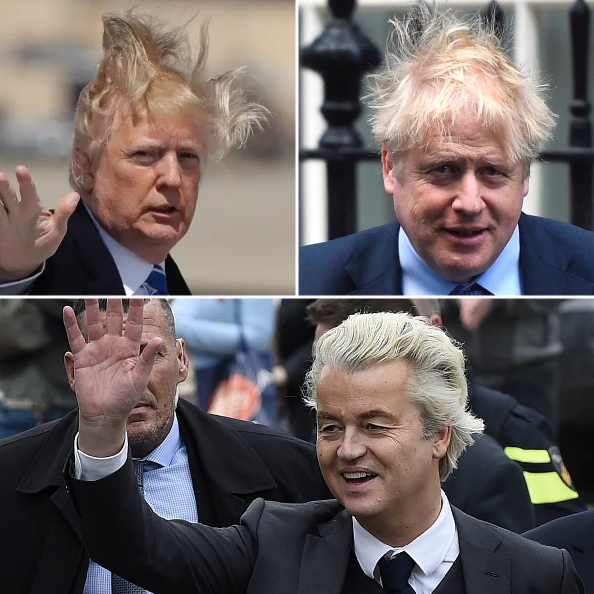 _fazla_mesai's tweet photo. We needed a #president with hair like this. #Nederland #NederlandKiest #GeertWilders #PVVOP1 #pvv https://t.co/CuGuDpBUG0
